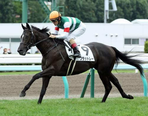 大外から余裕の手応えで差し切りデビュー戦を制したフラットレー(撮影・村野早祐)