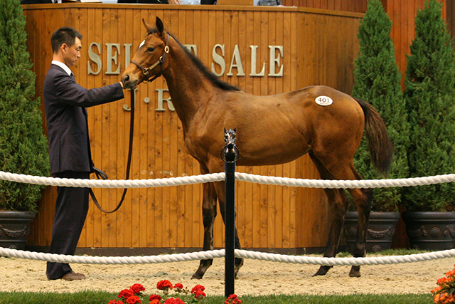 JRA-VAN ｜ 競馬ニュース速報